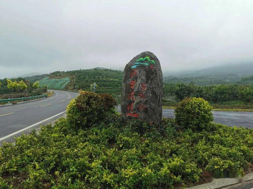 五莲县文化旅游工作周报 国内旅游业务稳步推进