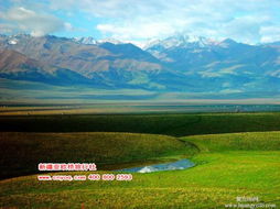 新疆当地优质旅行社推荐及国内旅游业务指南